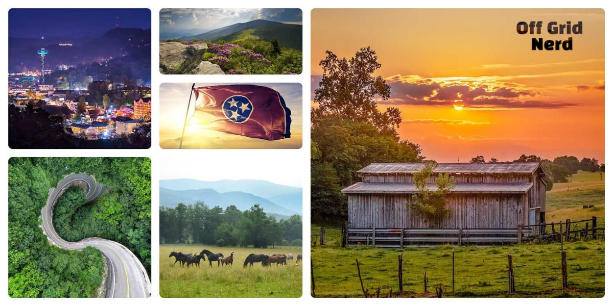 Tennessee for homesteading