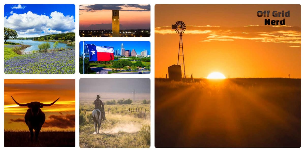 Texas for homesteading