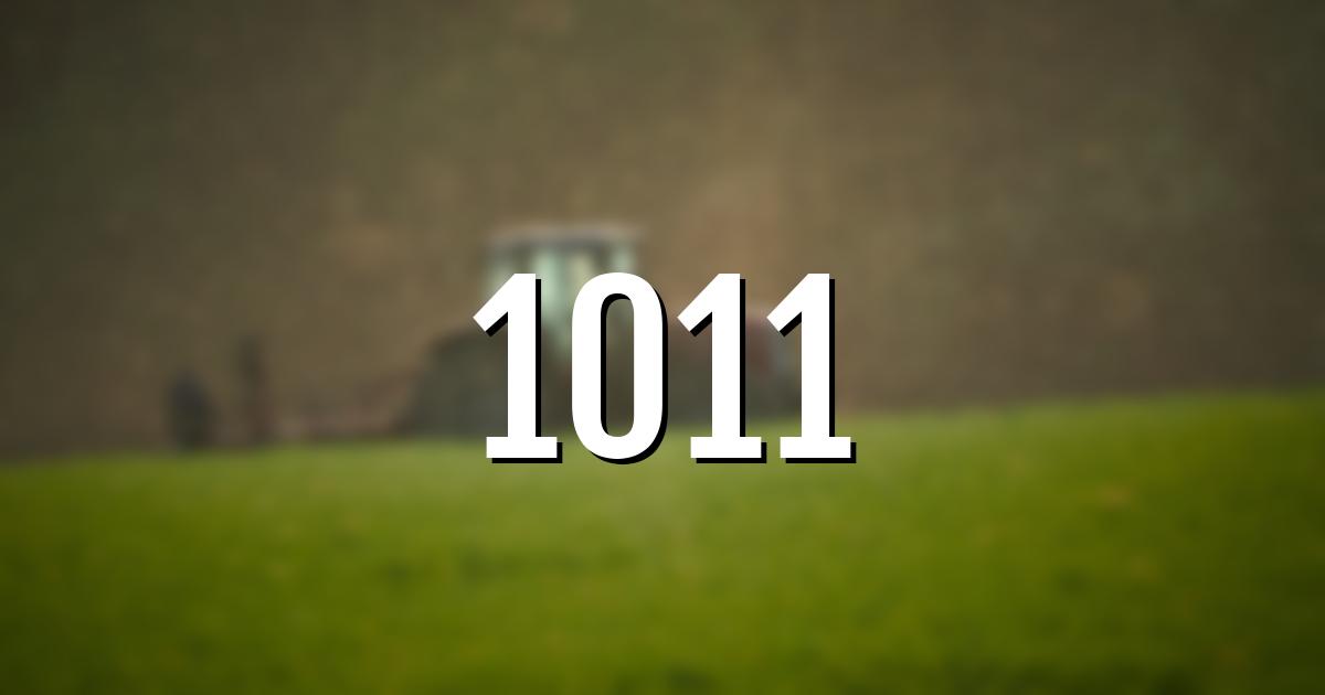 1011 error fault code explained