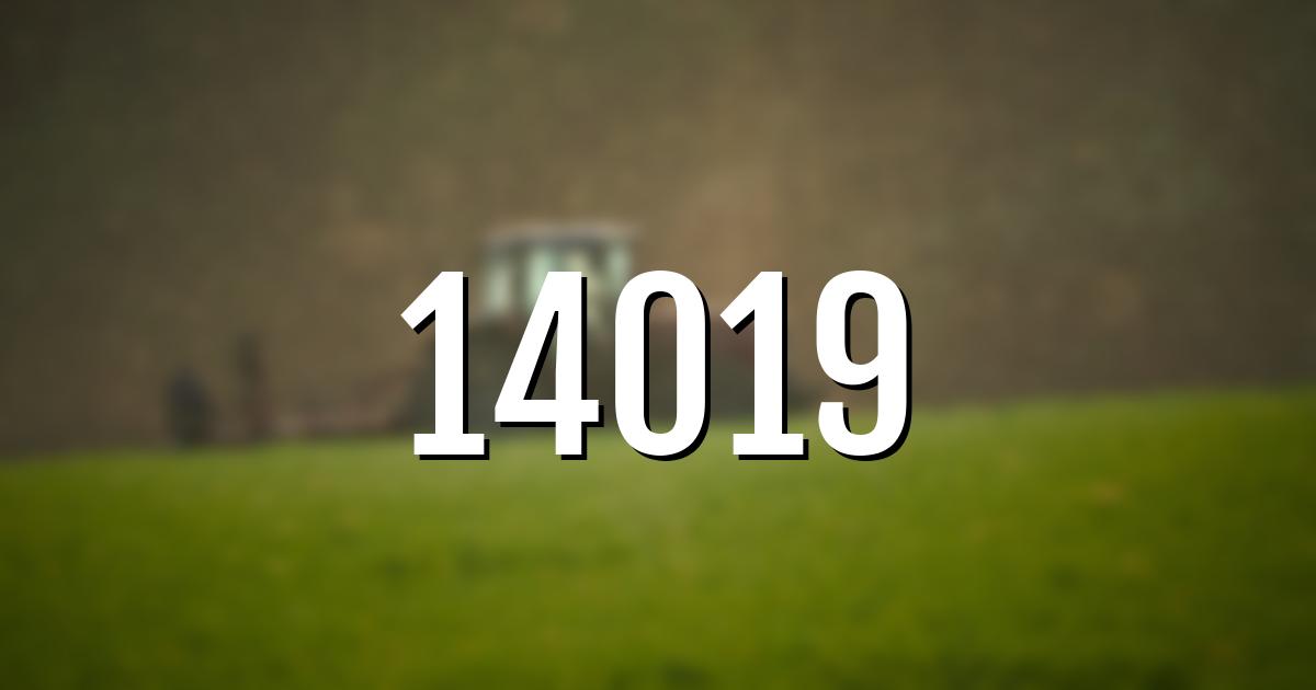 14019 error fault code explained