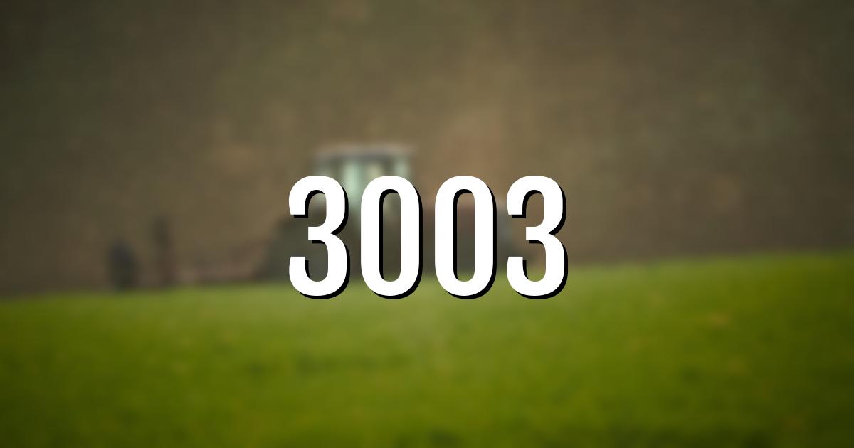 3003 error fault code explained