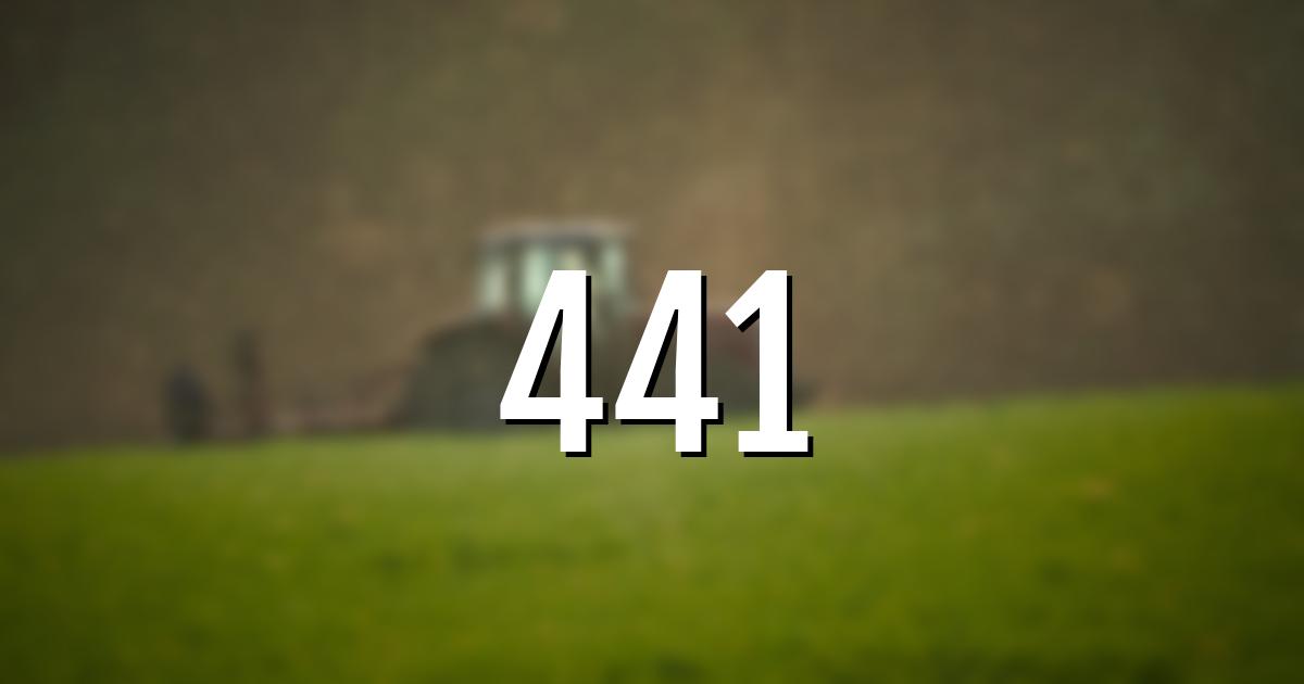 441 error fault code explained